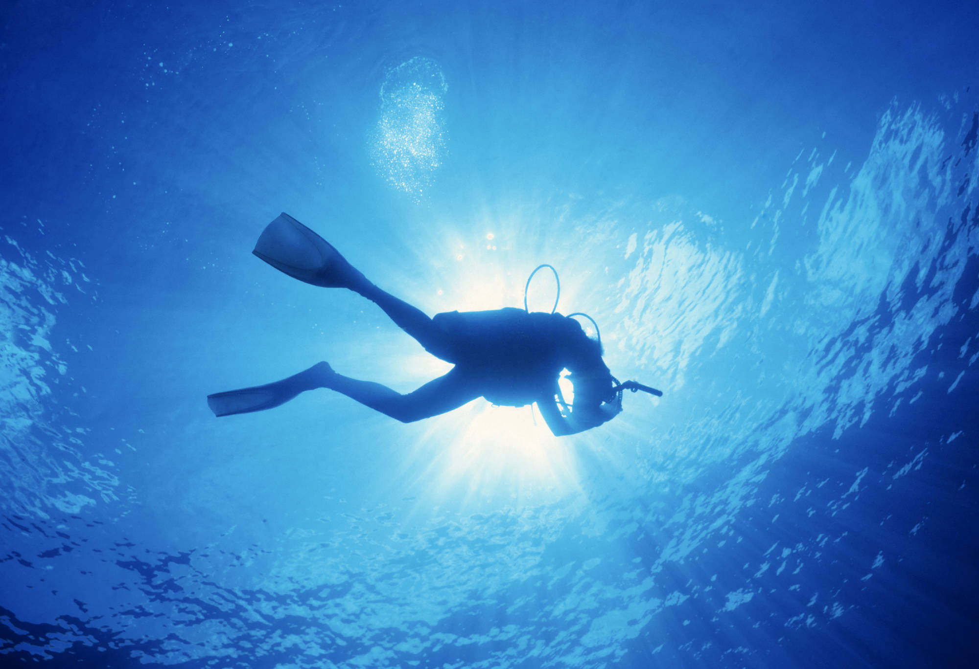 Diverse Retail For Dive Shops
